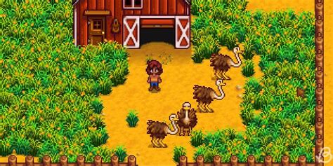 lucio stardew valley|Concerned Ape Finally Shares Progress for Stardew Valley 1.6 .